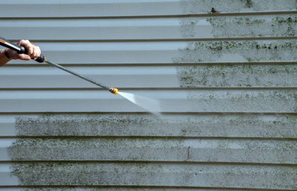 Best Affordable Power Washing  in Loughman, FL