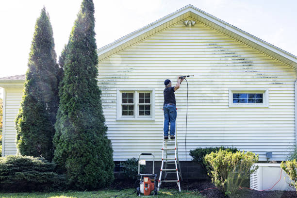 Best Affordable Pressure Washing  in Loughman, FL