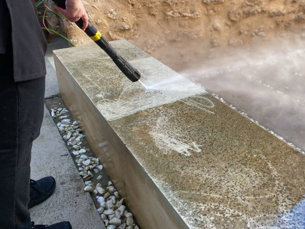 Best Local Pressure Washing Services  in Loughman, FL