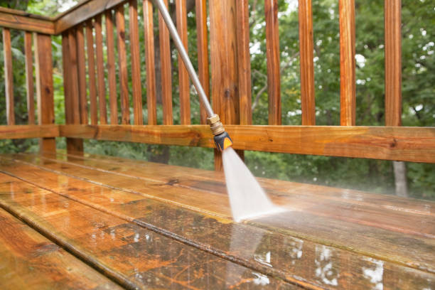 Best Local Pressure Washing Services  in Loughman, FL