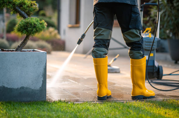 Best Exterior Home Cleaning  in Loughman, FL